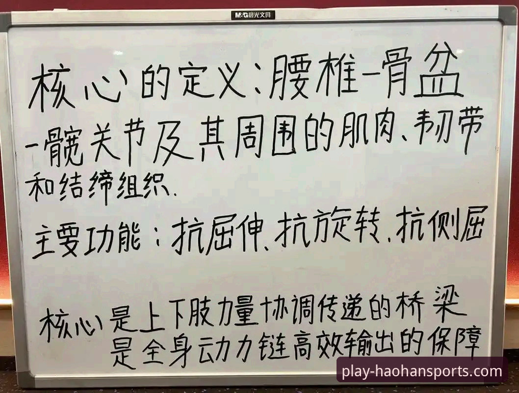 浩瀚体育平台 资深体育迷的实战心得:浩瀚体育平台使用体验与数据追踪技巧